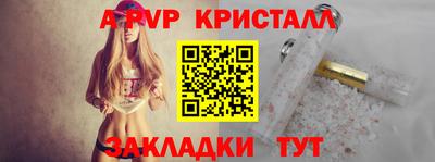 СК Бийск