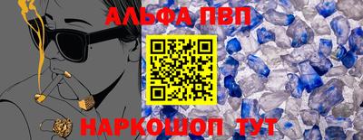 СК Бийск