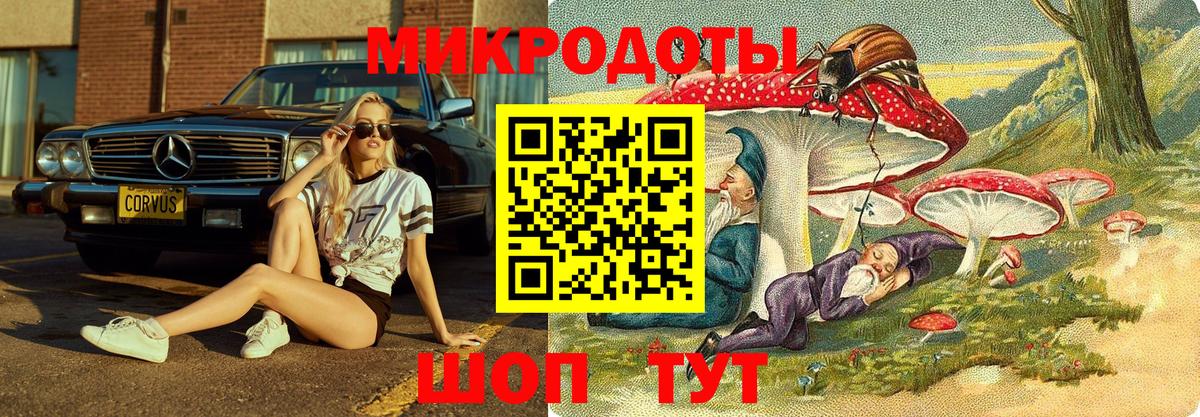 Псилоцибиновые грибы GOLDEN TEACHER  Вход с VPN  Кизилюрт 